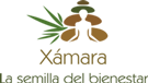 LogoSmall